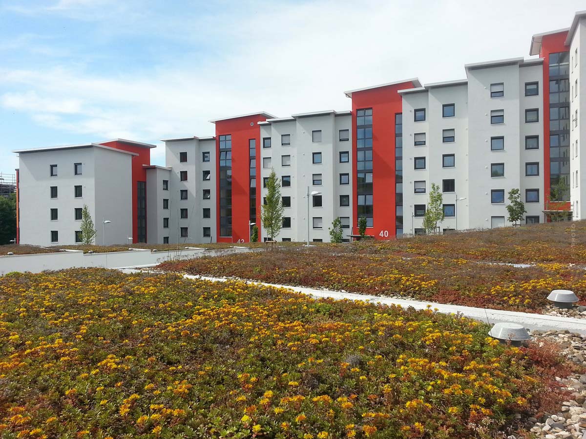 WEG (Wohnungseigentümergemeinschaft)